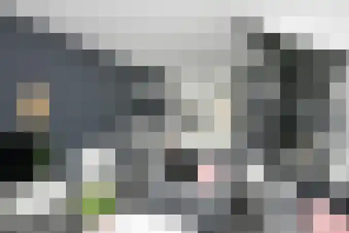 Dromerdijk 10 Arnhem thumbnail 9