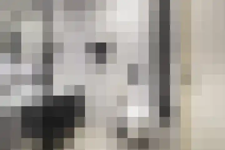 Dromos 21 Assendelft thumbnail 12