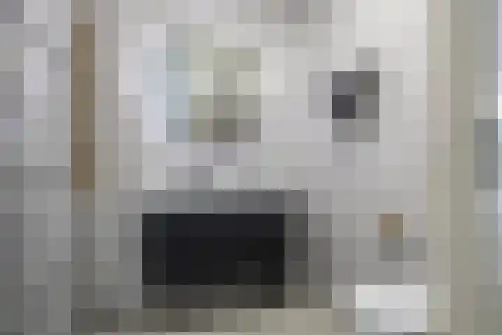 Dromos 21 Assendelft thumbnail 13