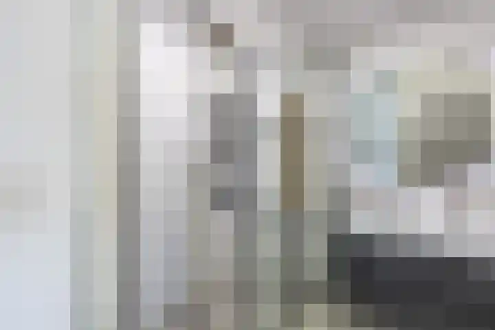 Dromos 21 Assendelft thumbnail 14