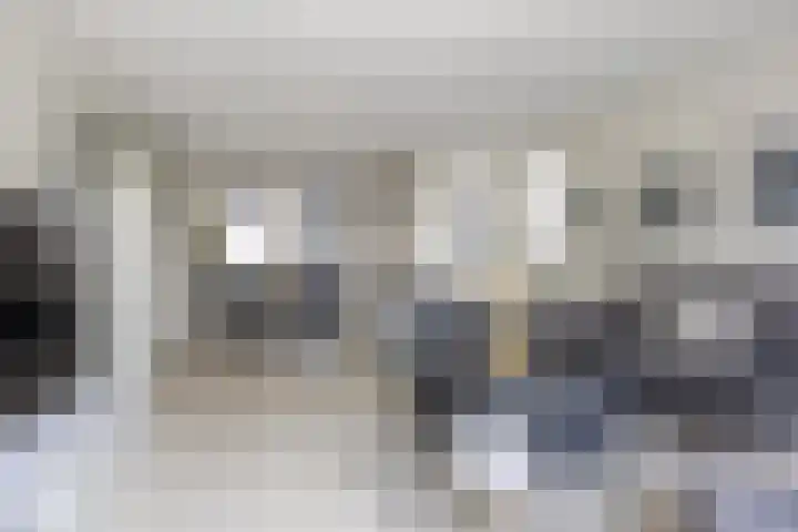 Dromos 21 Assendelft foto 2
