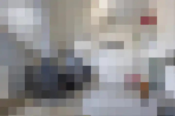 Dromos 21 Assendelft thumbnail 20