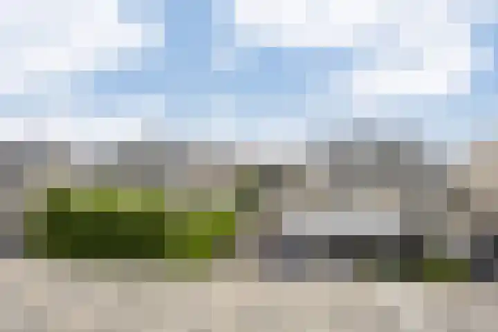 Dromos 21 Assendelft thumbnail 22