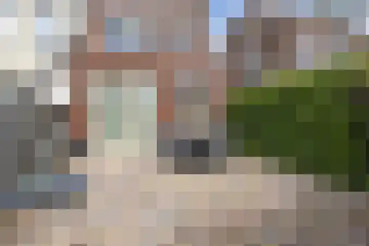 Dromos 21 Assendelft thumbnail 25