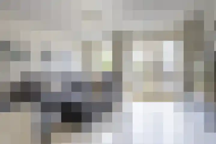 Dromos 21 Assendelft thumbnail 4
