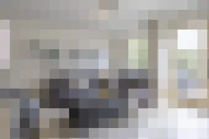 Dromos 21 Assendelft thumbnail 5