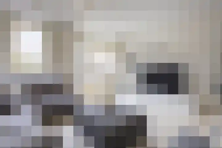 Dromos 21 Assendelft thumbnail 6