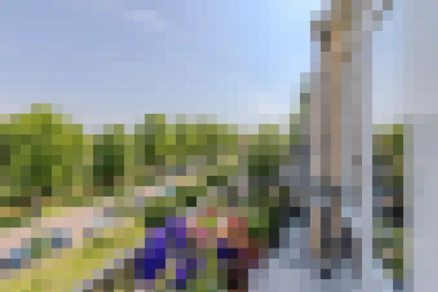 Dronensingel 111 Bodegraven thumbnail 26