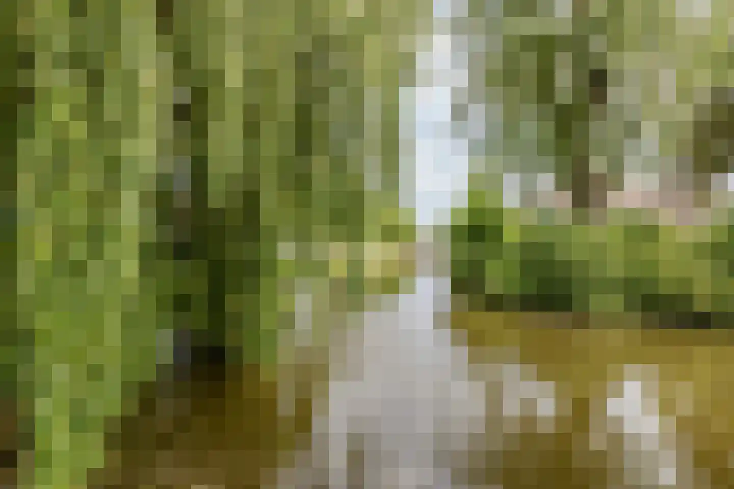 Dronensingel 111 Bodegraven thumbnail 59