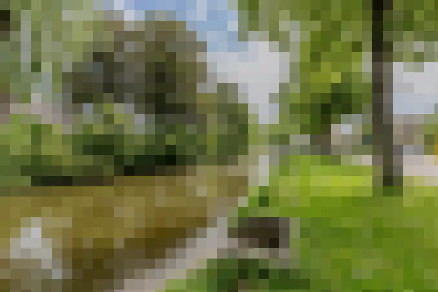 Dronensingel 111 Bodegraven thumbnail 60