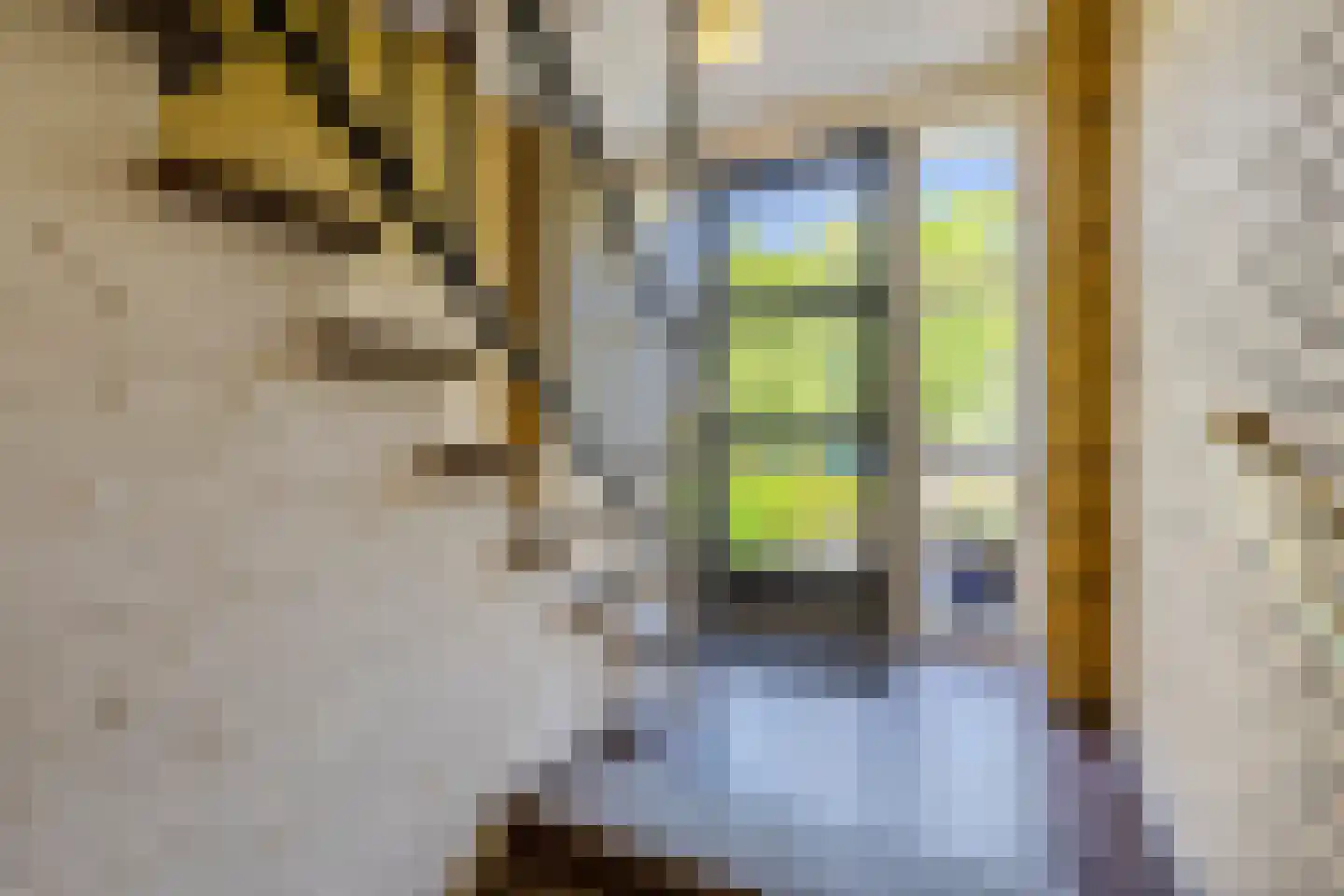 Dronensingel 111 Bodegraven thumbnail 7