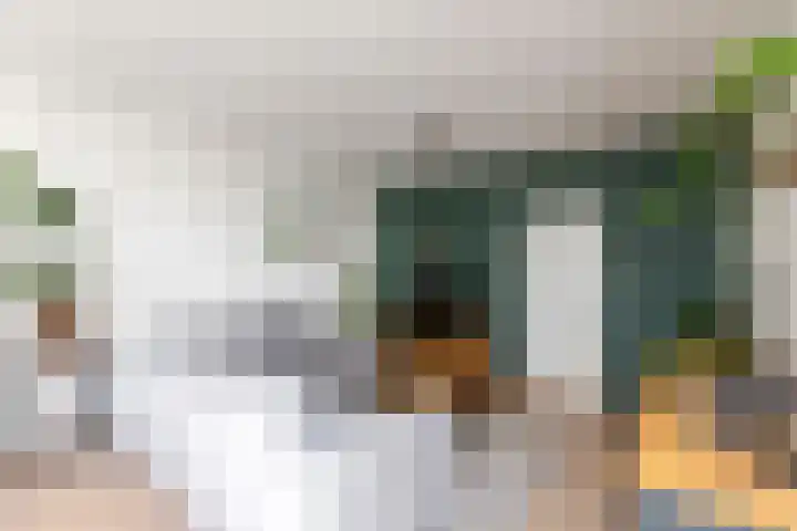 Dronensingel 141 Bodegraven thumbnail 10