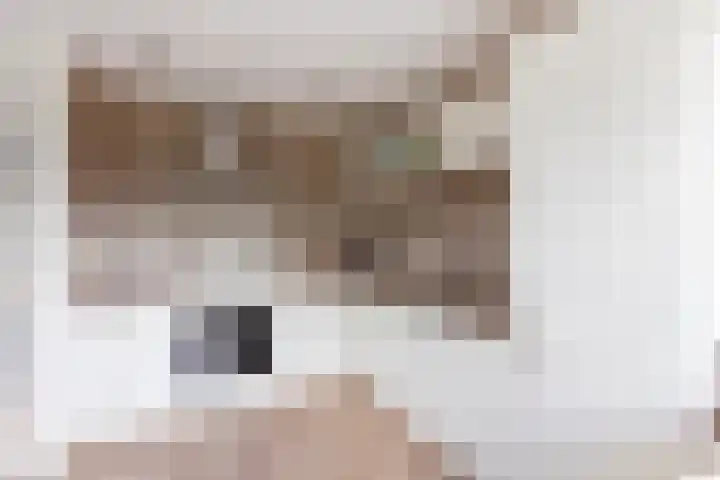 Dronensingel 141 Bodegraven thumbnail 15