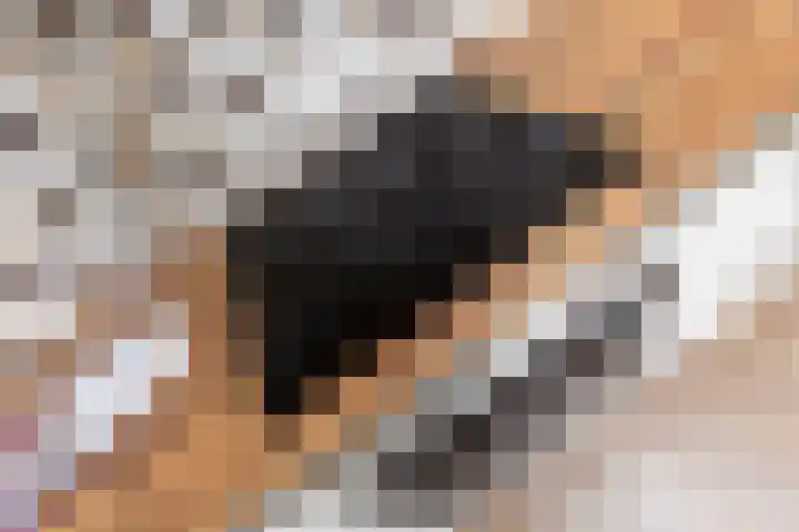 Dronensingel 141 Bodegraven thumbnail 16