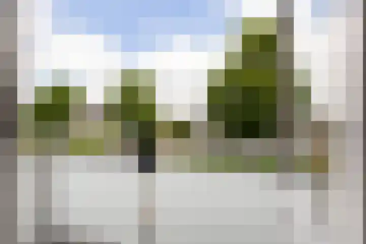 Dronensingel 141 Bodegraven thumbnail 18