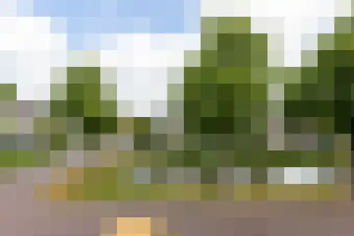 Dronensingel 141 Bodegraven thumbnail 19