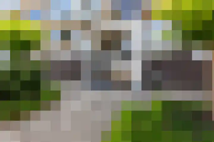 Dronensingel 141 Bodegraven foto 2