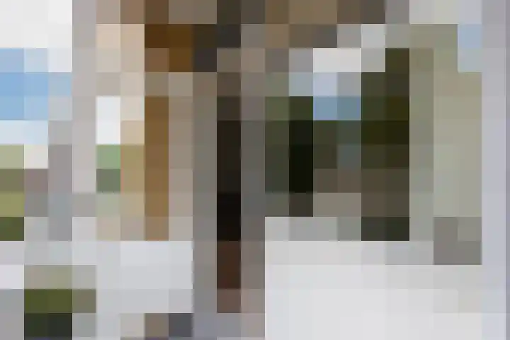 Dronensingel 141 Bodegraven thumbnail 21