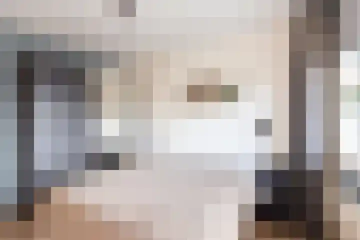 Dronensingel 141 Bodegraven thumbnail 23