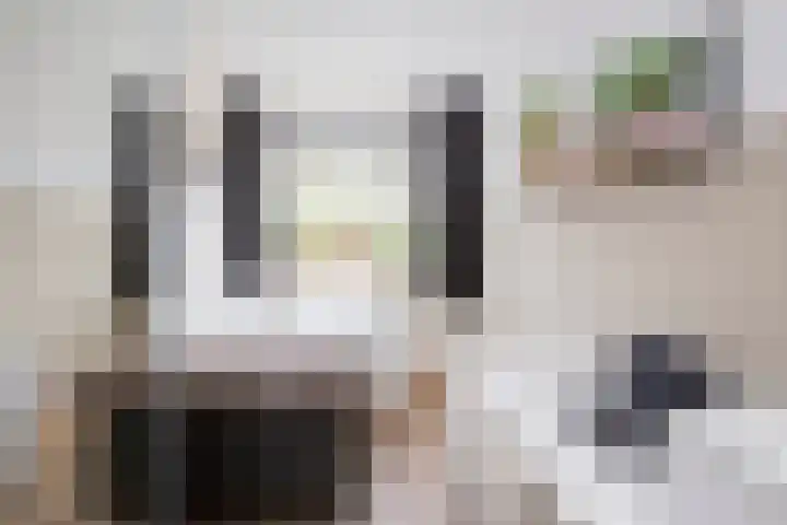 Dronensingel 141 Bodegraven thumbnail 26