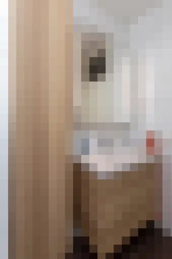 Dronensingel 141 Bodegraven thumbnail 31