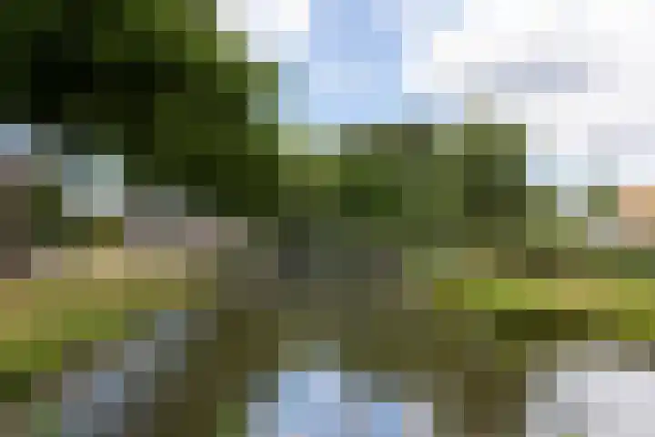 Dronensingel 141 Bodegraven thumbnail 34