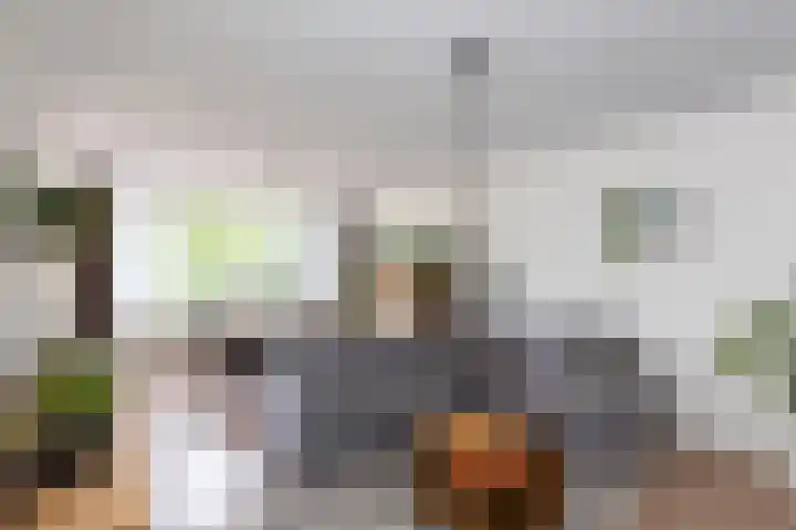 Dronensingel 141 Bodegraven thumbnail 9