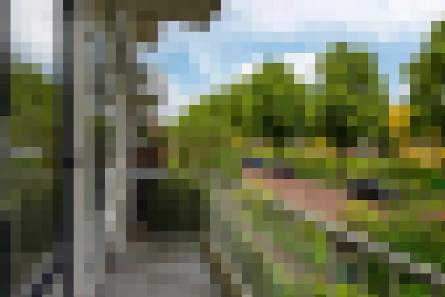 Dronensingel 63 Bodegraven thumbnail 10