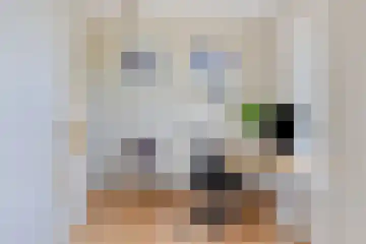 Dronensingel 71 Bodegraven thumbnail 10