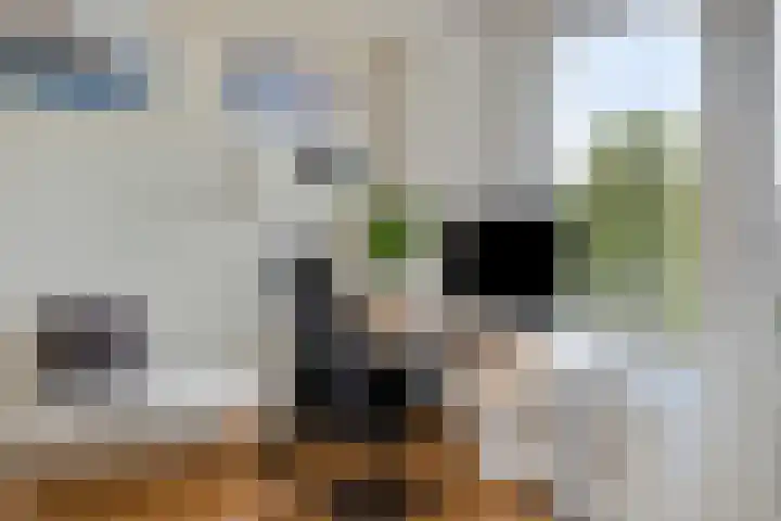 Dronensingel 71 Bodegraven thumbnail 11