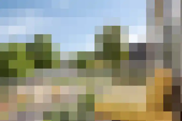 Dronensingel 71 Bodegraven thumbnail 12