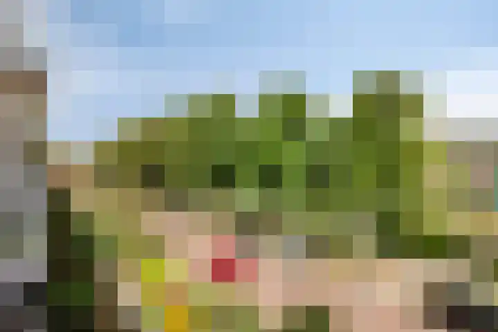 Dronensingel 71 Bodegraven thumbnail 13