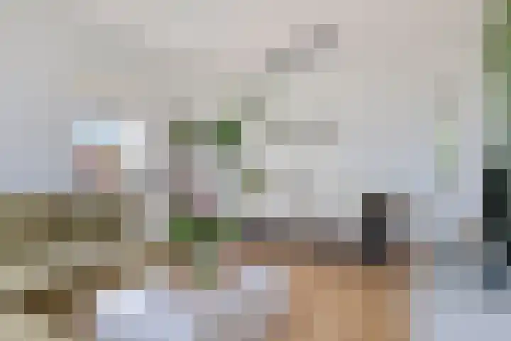 Dronensingel 71 Bodegraven thumbnail 15