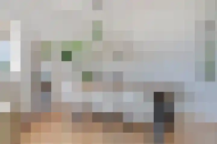Dronensingel 71 Bodegraven thumbnail 17