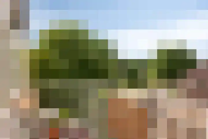 Dronensingel 71 Bodegraven thumbnail 20