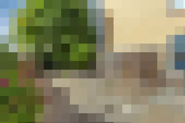 Dronensingel 71 Bodegraven thumbnail 31