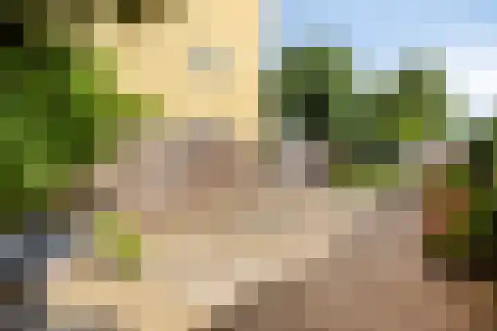 Dronensingel 71 Bodegraven thumbnail 32
