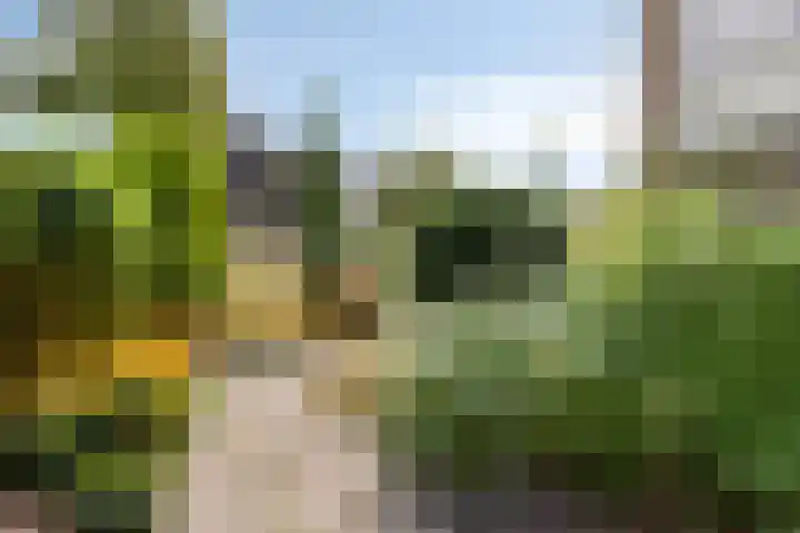 Dronensingel 71 Bodegraven thumbnail 33