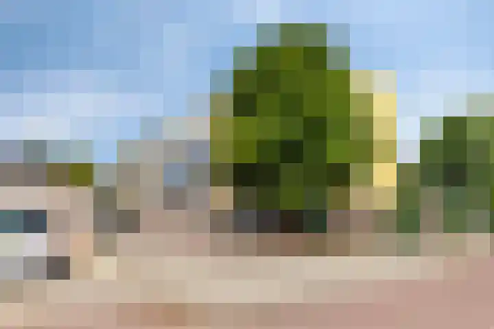 Dronensingel 71 Bodegraven thumbnail 34
