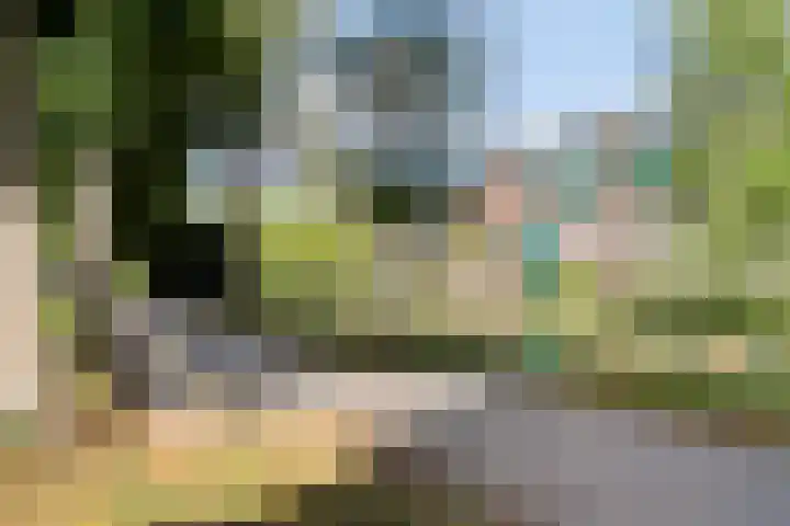 Dronensingel 71 Bodegraven thumbnail 35