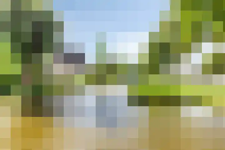 Dronensingel 71 Bodegraven thumbnail 37