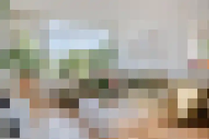 Dronensingel 71 Bodegraven thumbnail 6