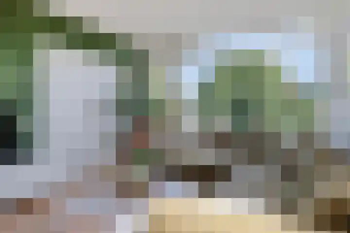 Dronensingel 71 Bodegraven thumbnail 7