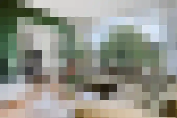 Dronensingel 71 Bodegraven thumbnail 8