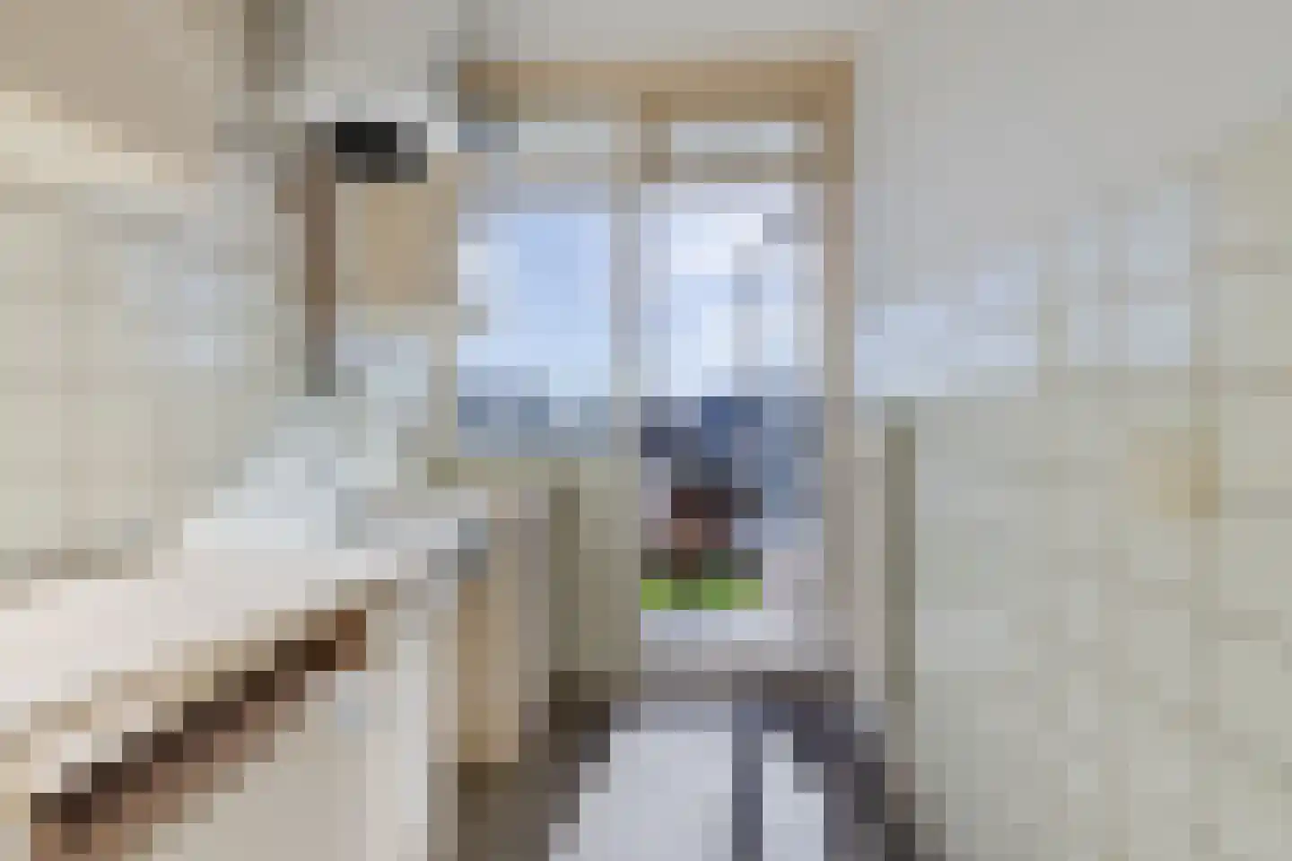 Dronensingel 97 Bodegraven thumbnail 18