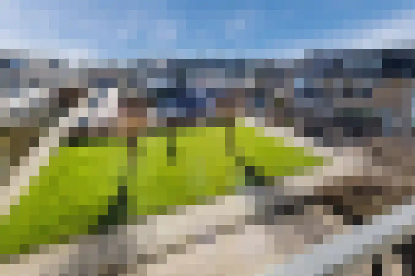 Dronensingel 97 Bodegraven thumbnail 27
