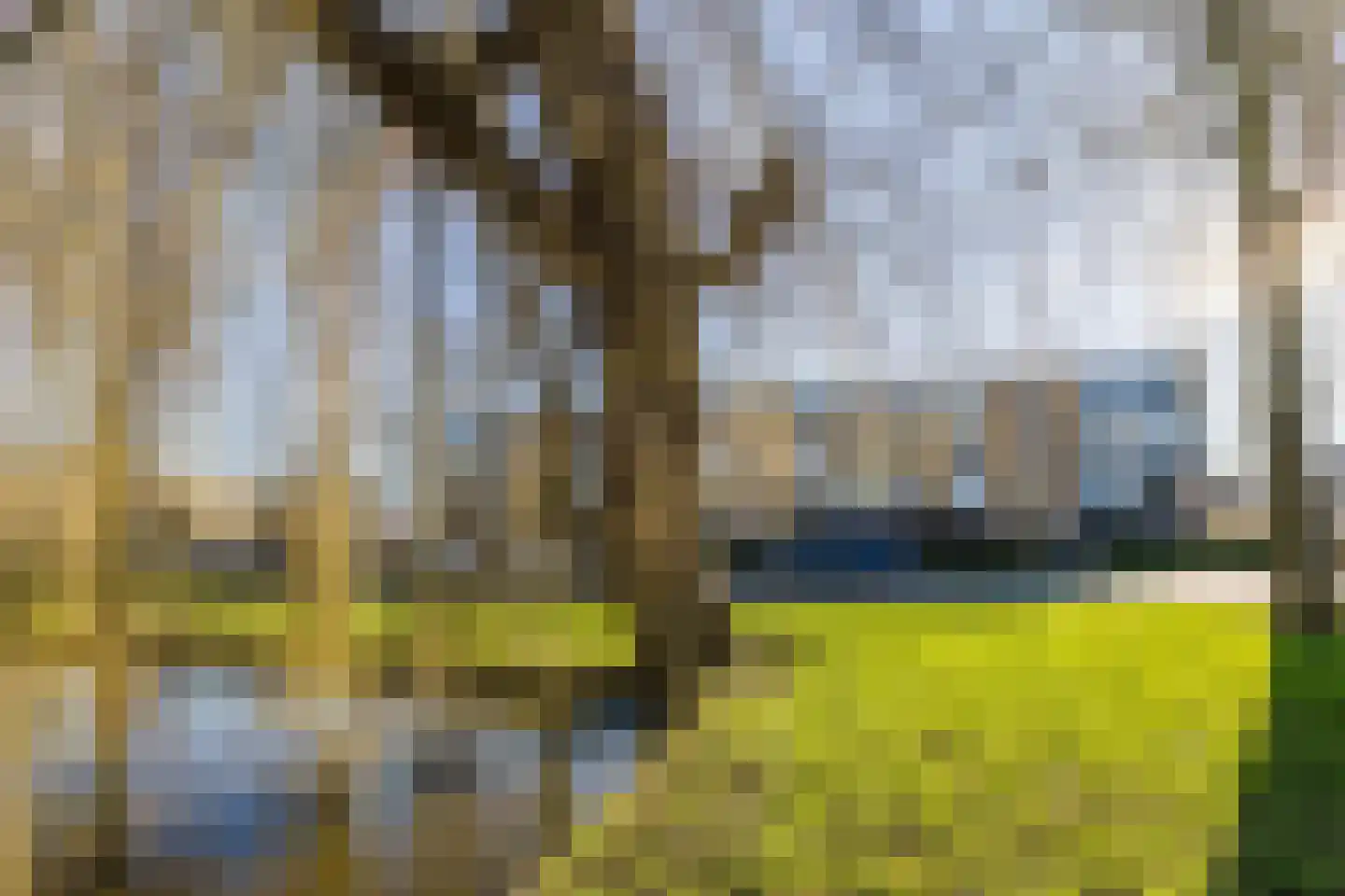 Dronensingel 97 Bodegraven thumbnail 31