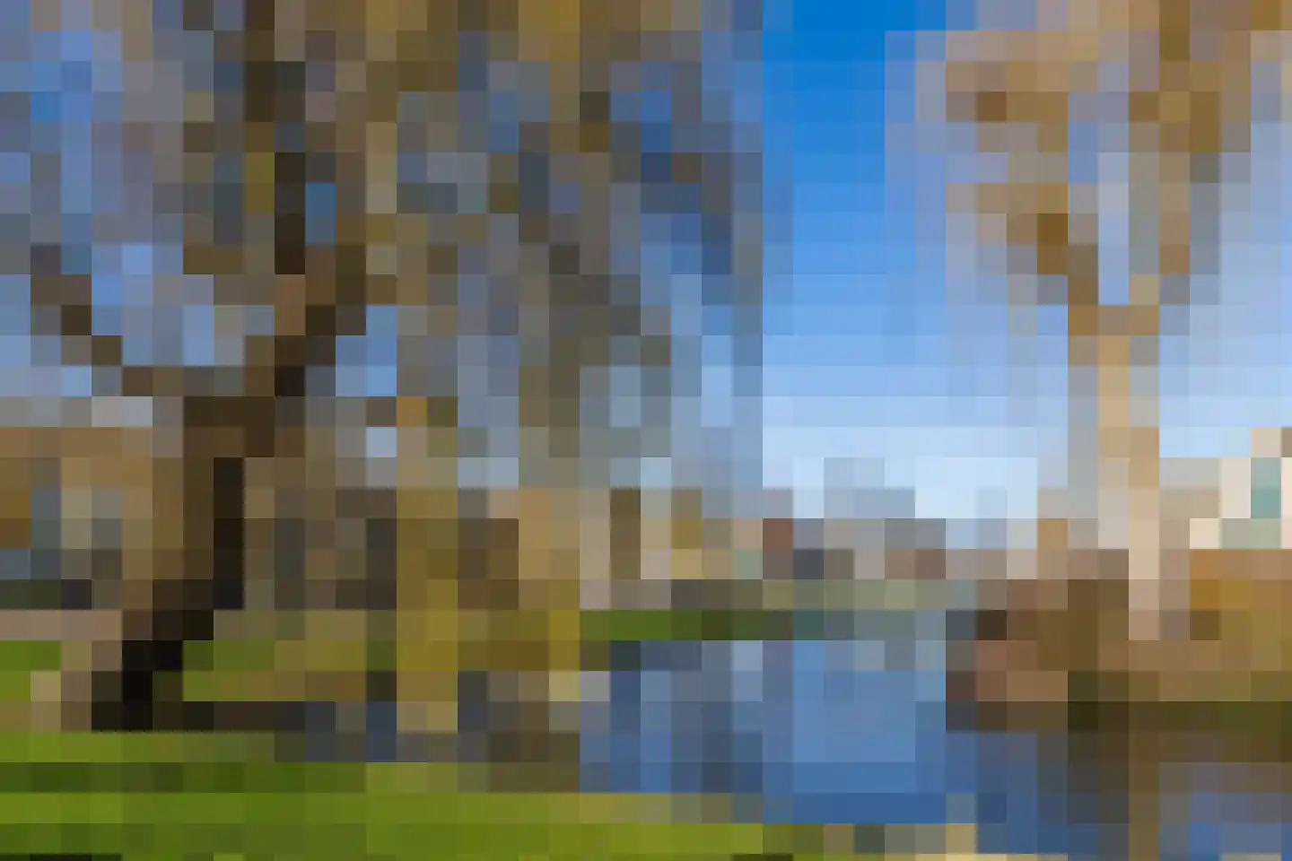 Dronensingel 97 Bodegraven thumbnail 34