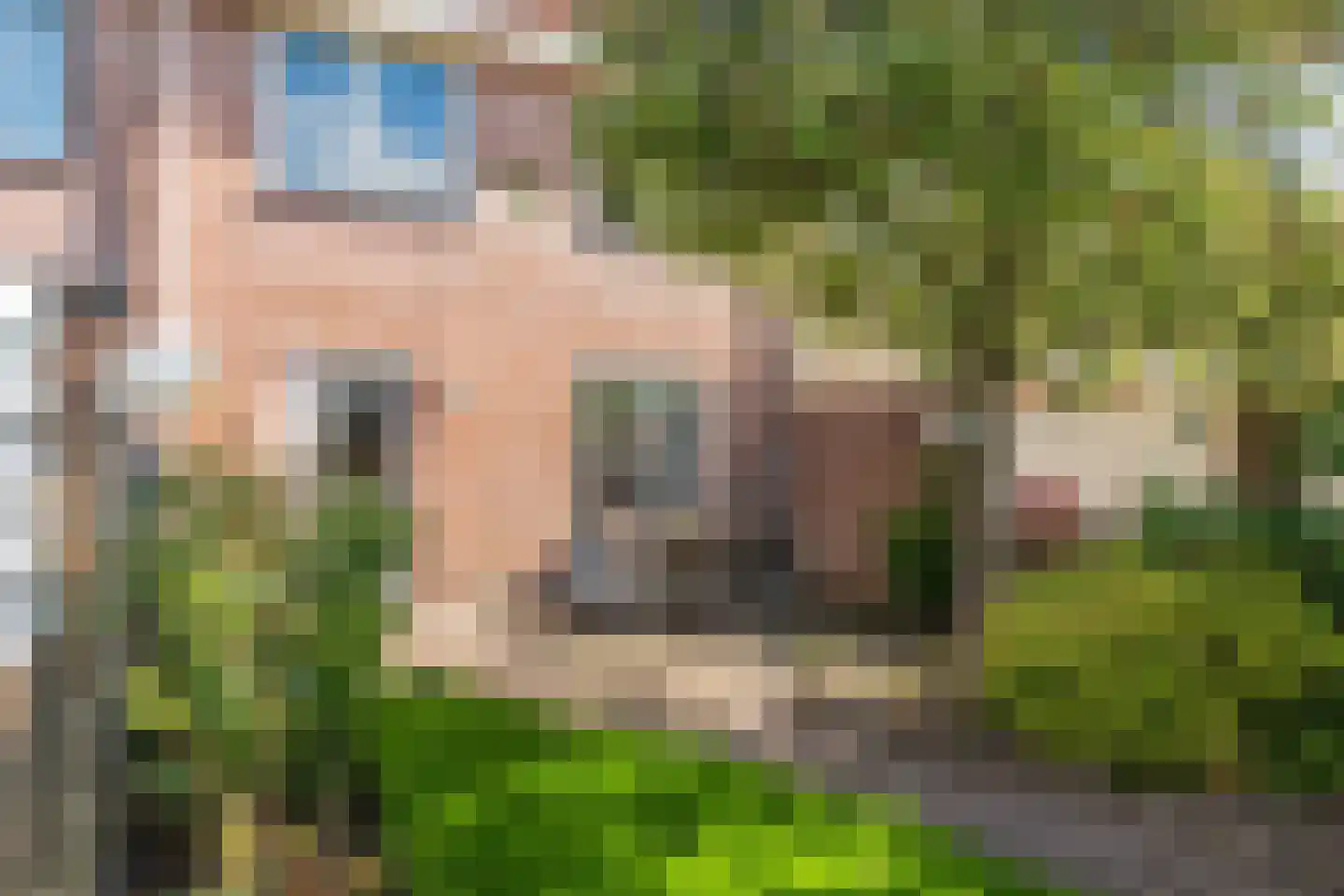 Drongelenhof 8 Tilburg thumbnail 36