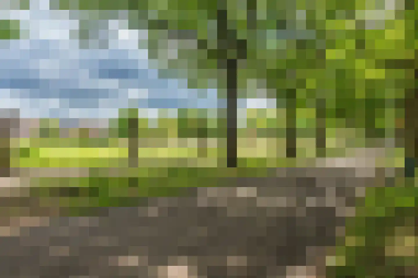 Drongelenhof 8 Tilburg thumbnail 48